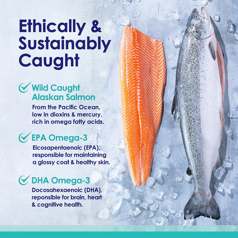 Minyak Ikan Omega 3 untuk Anji - Omega 3 Fish Oil ulasan dan harga