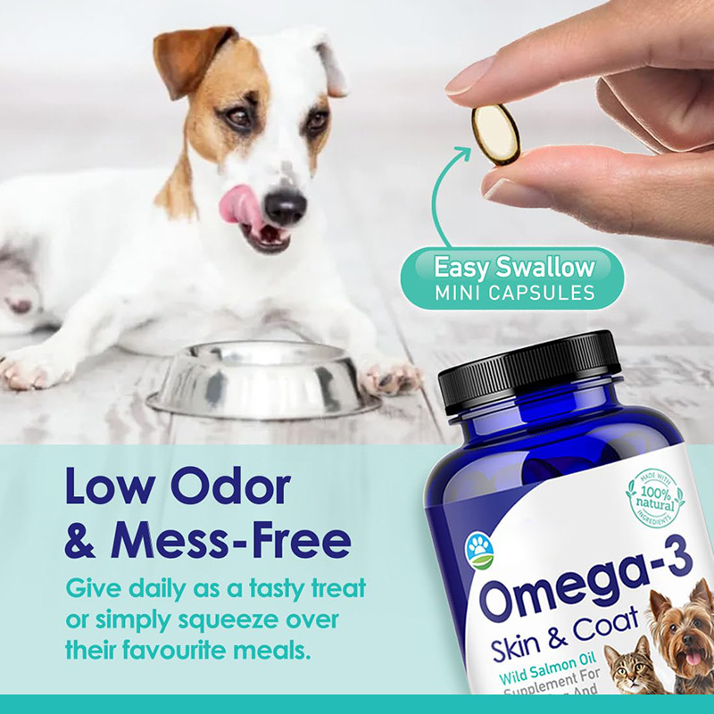 Minyak Ikan Omega 3 untuk Anji - Omega 3 Fish Oil ulasan dan harga