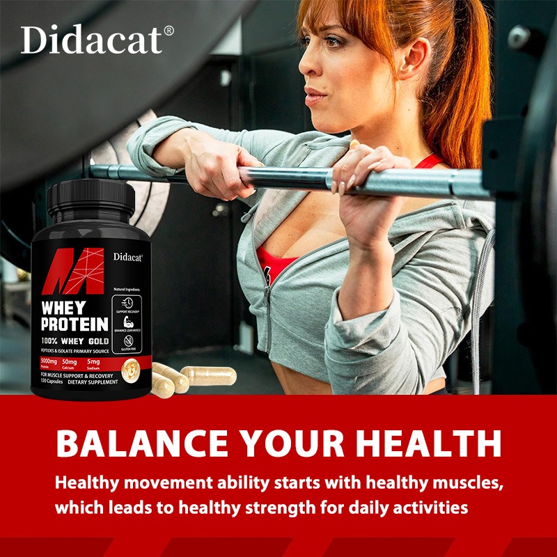Didacat Whey Protein Concentra - Nutrition For Fitness And Sports ulasan dan harga