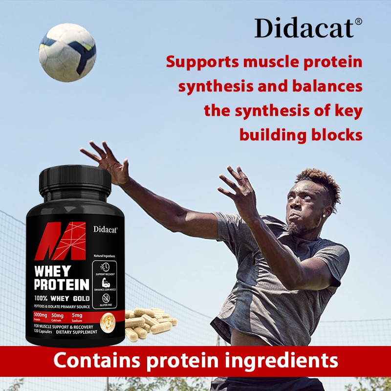 Didacat Whey Protein Concentra - Nutrition For Fitness And Sports ulasan dan harga